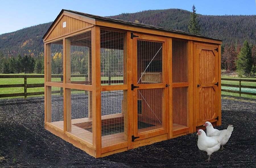 Picture of Valuable Tips That Will Help You Raise Backyard Chickens